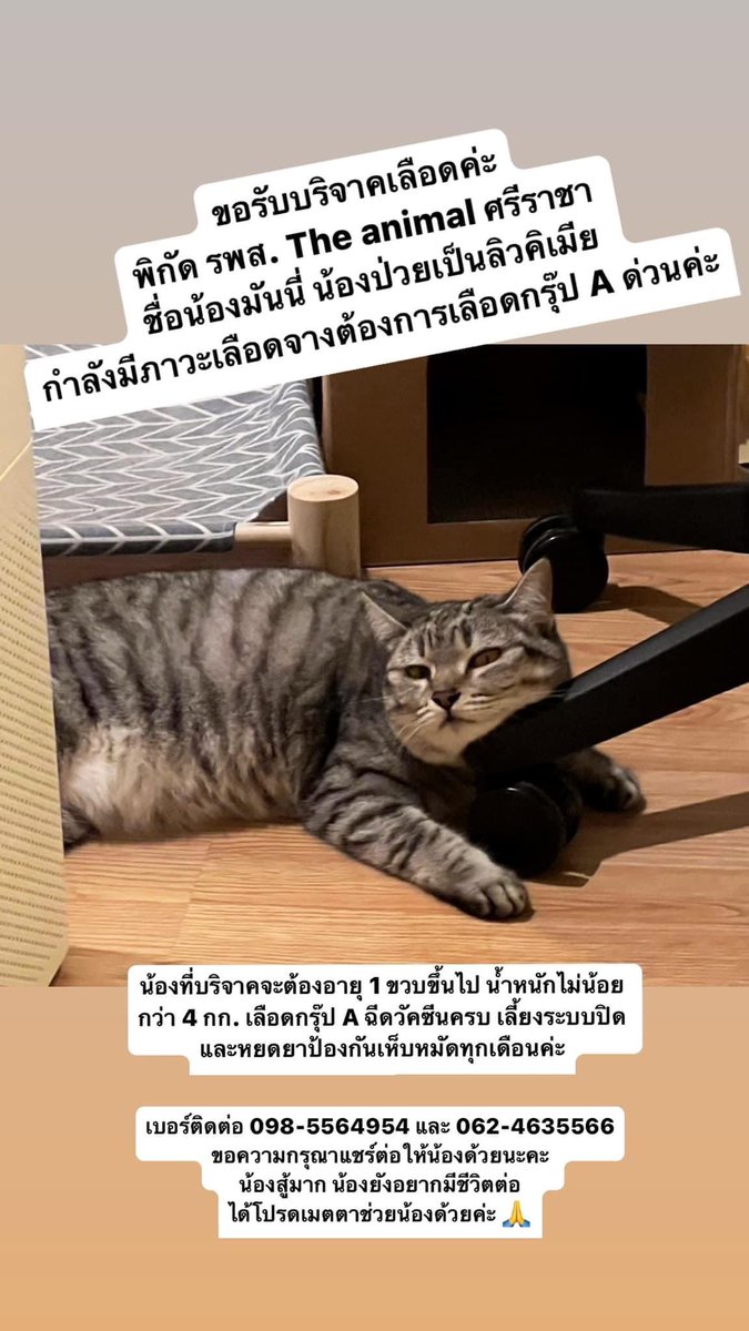 发丰妈咪💗 tweet media