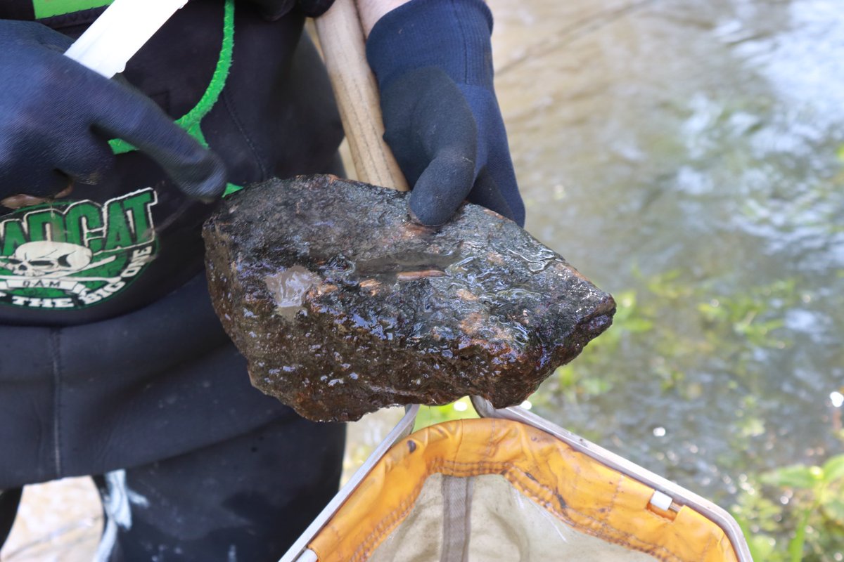 LMeredithEU's tweet photo. A team of experts from 🇲🇩#Moldova and 🇦🇹#Austria, with 🇪🇺#EU4Environment support, carried out a water surface survey in the Prut River Basin 🔬
#Water is indispensable for people, nature, and our prosperity. It is also at the centre of the climate crisis!
#StrongerTogether https://t.co/pJo57aEJCq