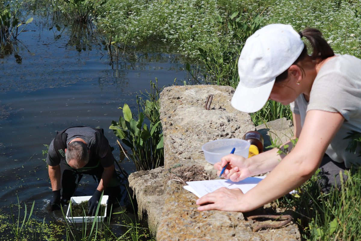 LMeredithEU's tweet photo. A team of experts from 🇲🇩#Moldova and 🇦🇹#Austria, with 🇪🇺#EU4Environment support, carried out a water surface survey in the Prut River Basin 🔬
#Water is indispensable for people, nature, and our prosperity. It is also at the centre of the climate crisis!
#StrongerTogether https://t.co/pJo57aEJCq