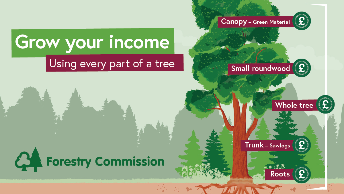 Forestry Commission tweet media