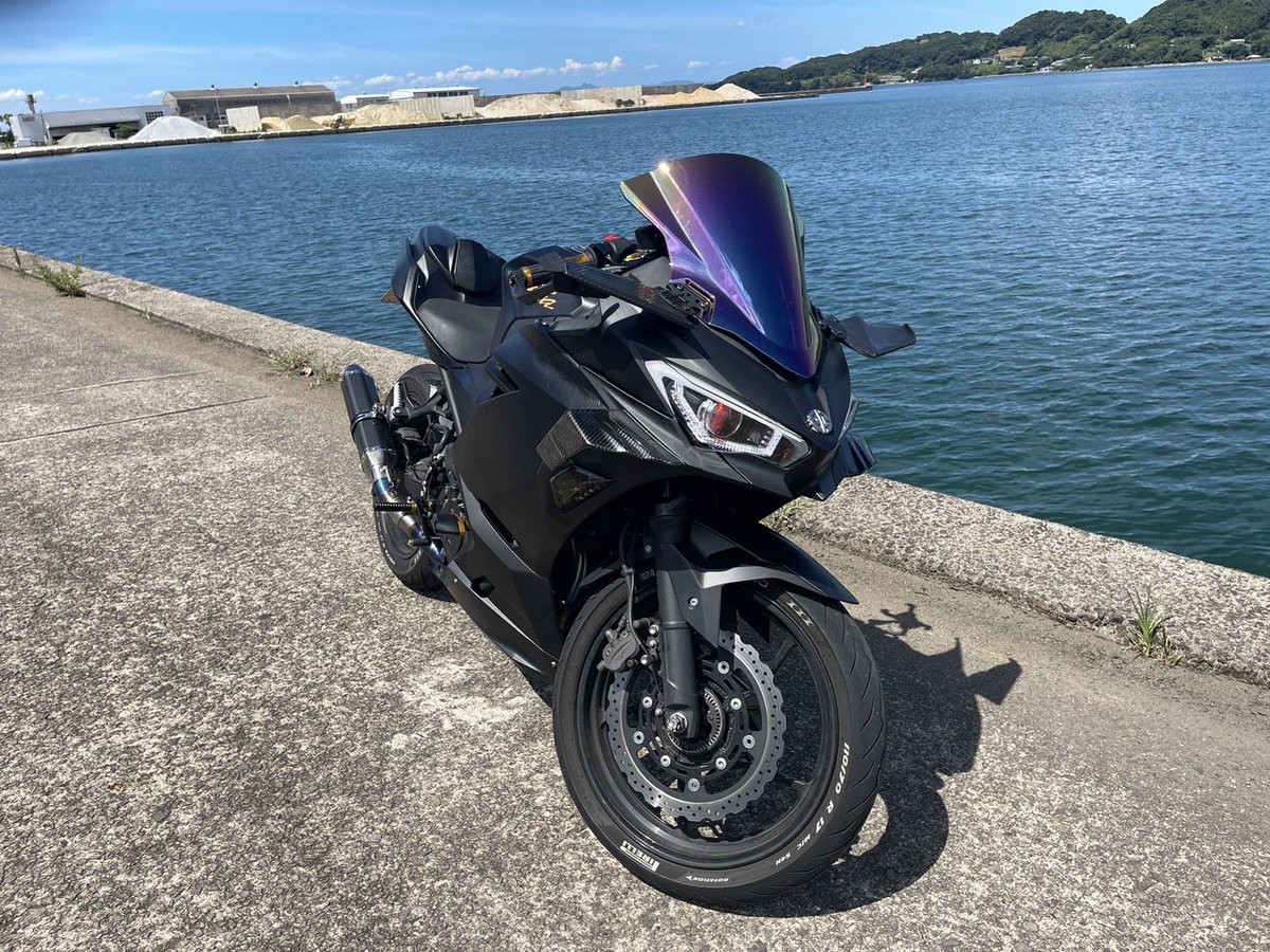 #カワサキだからってミドリじゃなくても良いだろ