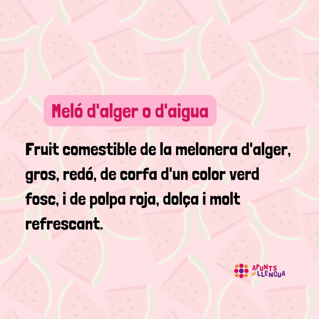 apuntsllengua's tweet photo. 🤔 Saps com es diu…?
☀️ A l’estiu hi ha moltes fruites típiques de temporada, com la bresquilla, la pruna...
🍉 Però, com s’anomena la que assenyalem?
💬 Comenta la teua resposta! I si no ho saps, llisca per a esbrinar-ho!
#apuntsdellengua #valencià https://t.co/ruS8BpAEAf