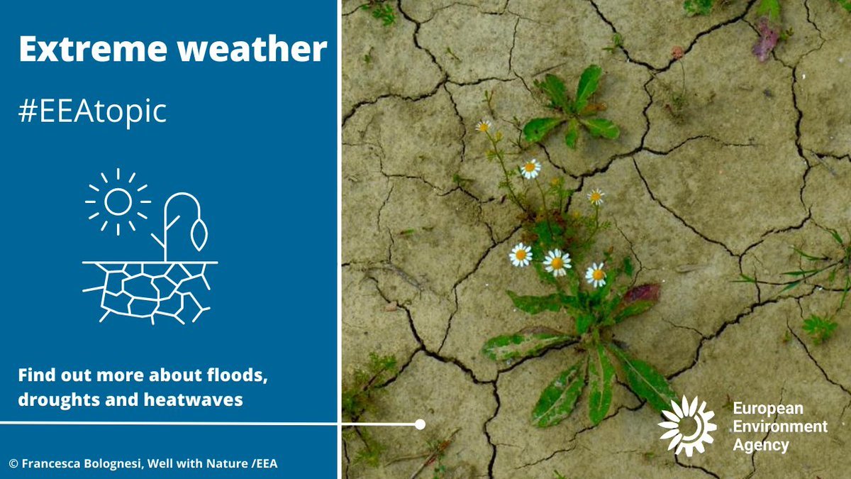 EUEnvironment's tweet image. Under our changing climate, the weather in Europe is getting more extreme ⛈️🌡️. This makes #adaptation to #climatechange and better preparedness crucial.
Find out more about the  climate challenges we face &amp;amp; how we can adapt #EEAtopic :
discomap.eea.europa.eu/climatechange/