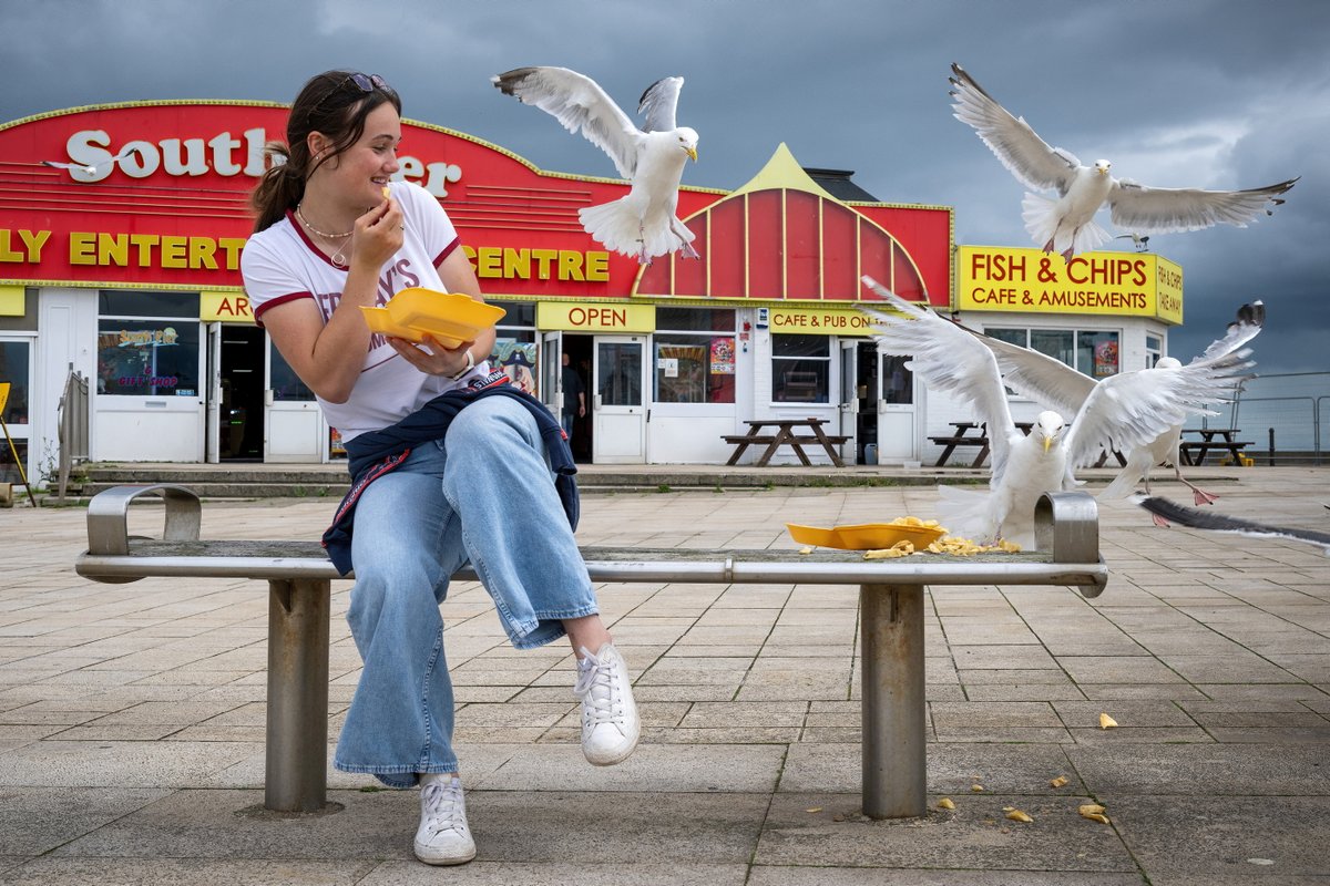 EalesIsaac8177's tweet photo. SWNS Pictures of the week 04/08/23 🕊🔴🤸‍♀️🌊
Seagull terrorizers, Lowestoft / @linsell_clark 
The ‘Timisien’ Luminarium, Warwickshire / @PicsTrimble 
Afrique en Cirque, Edinburgh / @KtLeeArrowsmith 
Amphibious van, Bridlington Beach / @RNLI 
#swns #swnspictures #news #photography https://t.co/DhCjgJpqpC
