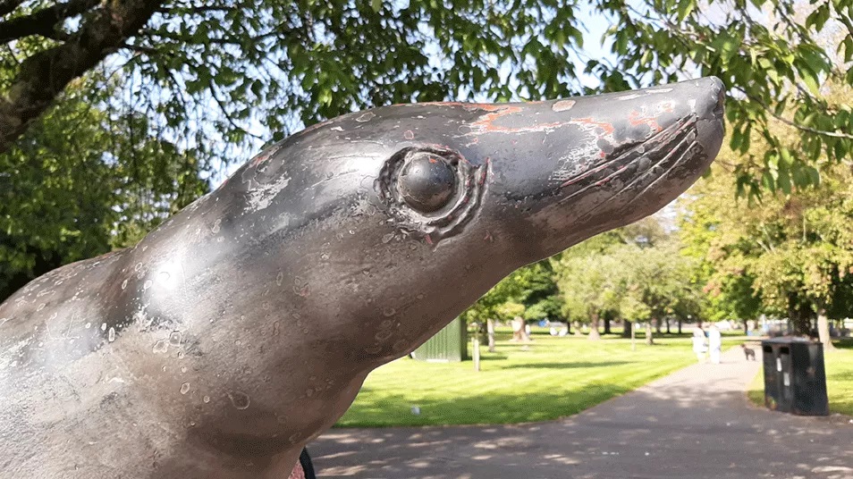 Victoria Park in Cardiff opened in 1897 and is full of colourful flowers and history.

It's also home to a cast iron bandstand and a statue of Billy the seal! The park was restored thanks to #NationalLottery players 💚#LoveParksWeek #ThenAndNow #HeritageIsOpen