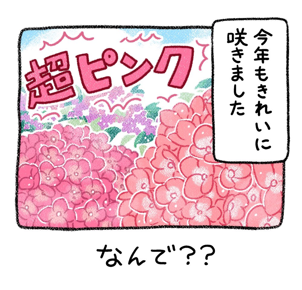 ここ数年のアジサイ漫画まとめ1/3 #漫画が読めるハッシュタグ #犬