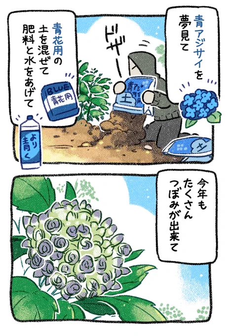 2/3 蕾の時はギリッッ…ギリ紫 #エッセイ漫画