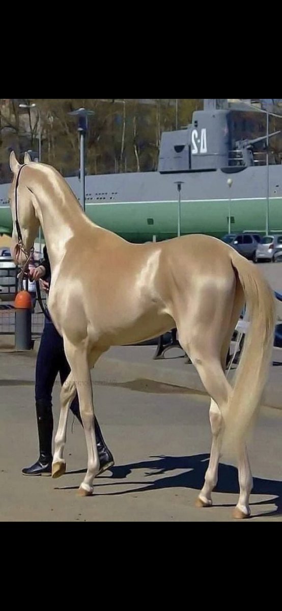 ov_mx2's tweet image. コレ縁起良さそうだなぁめちゃ綺麗