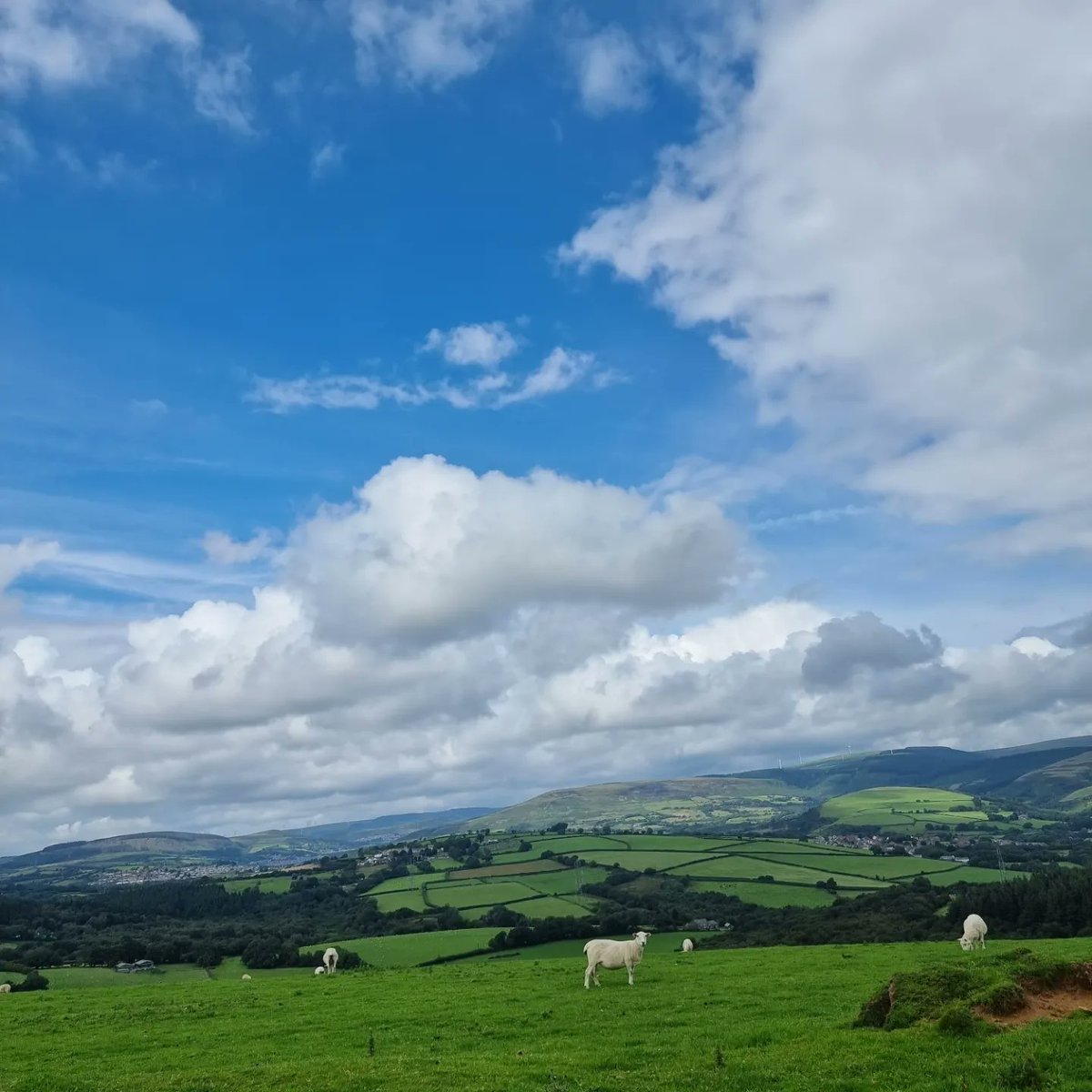 SMGoldsworthy's tweet photo. Daily walking is good for the soul! #Llangynwyd https://t.co/vZUt4kkSJq
