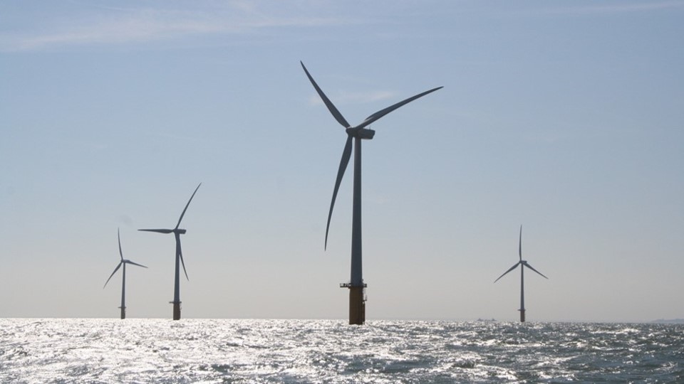 JNCC_UK's tweet photo. We’re delighted to be working with our #ProcBe partners from @oxnav_group, @RSPB_Science & @uniofglos to improve understanding of at-sea behaviour, distribution & demography of shearwaters & storm-petrels. Part of Offshore Wind Evidence & Change Programme https://t.co/UkDpSjB9WW https://t.co/c25kCU6AjR