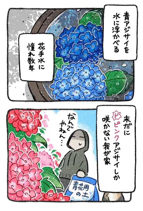 3/3 #猫