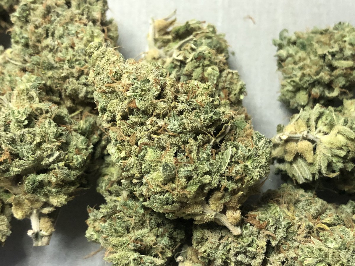 GrowAllDay420's tweet photo. Jussy Pussy ไตรโคมลั่นๆ ต้องลอง!!
เริ่มเพียงแค่ 100 บาท เท่านั้น!!!
สนใจสินค้าจากฟาร์มเรา ส่ง-ปลีก ติดต่อมาได้ที่ https://t.co/bsXOnlx0CE

#กัญชา #กัญชาog #กัญชาออแกนิค #กัญชากรุงเทพ #แพรกษา #สมุทรปราการ #กรุงเทพ #ปากน้ํา #ศรีนครินทร์ #ห้วยขวาง #รัชดา #กัญชาราคาถูก #กัญชาเสรี https://t.co/OCzP0Oxse4
