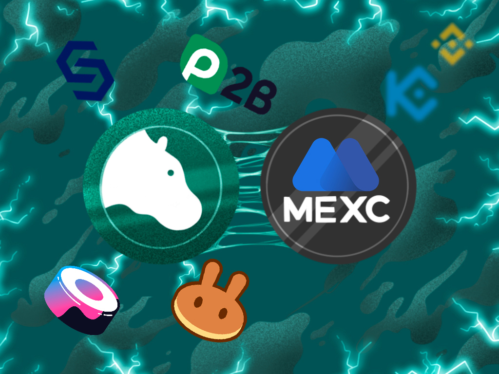 HippoWallet's tweet photo. 💥 Breaking news! 
We’re on the way to be listed on #MEXC  exchange. 
Get ready to trade and ride the crypto wave to success with #HPO token! 💎
#HPOtoken #HippoWallet #MEXC #Crypto https://t.co/bE6Bd7Qzid