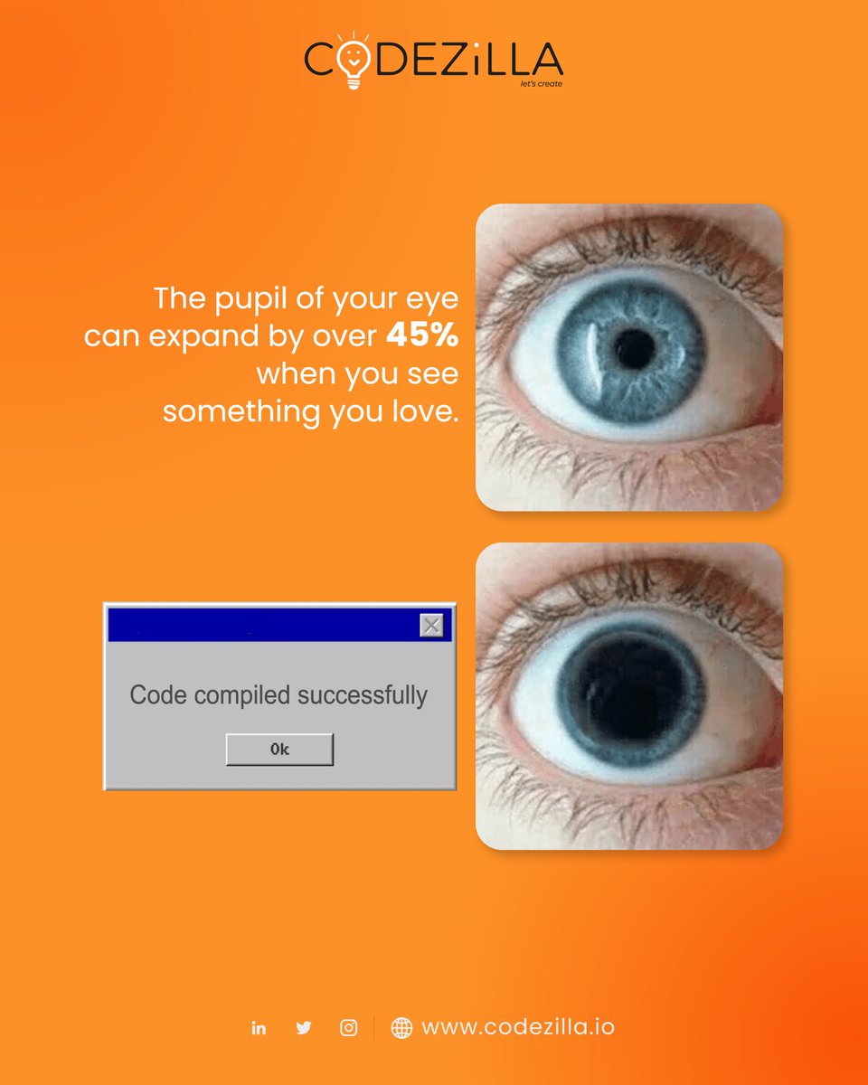 codezillians's tweet image. A moment of relief and accomplishment will always reflect in a coder's eyes after knowing all the hard work has paid off!
#Coders #coderscommunity #Coding #Programming #Programmers #Code #Compile #Compilation #Programminglanguage
