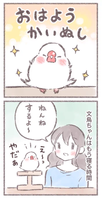 おはよう かいぬし(1/2)

#文鳥 #漫画が読めるハッシュタグ 