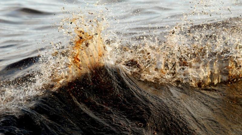 Meanwhile in the Gulf of Mexico 🛢️🌊

Crude oil has washed ashore from an oil spill covering at least 100 square kilometers in the Gulf of Mexico. 

The oil in the sea has "spread to all the beaches of the Gulf," according to Alejandro Brown Gantús, deputy prosecutor for