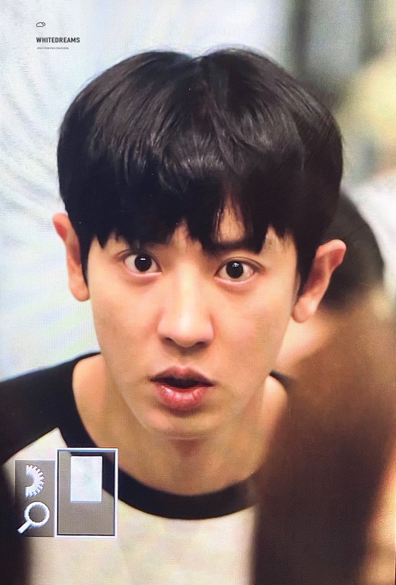 whitedreams1127's tweet photo. 230804 ICN 놀라운 멍멍이😯🐶🤎 #찬열 #chanyeol https://t.co/JzkDgX2RsT