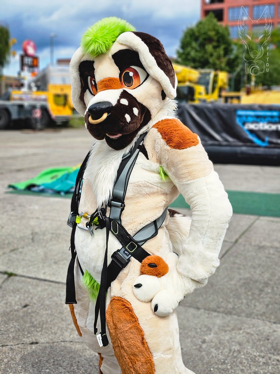 He can jump now ! 💚
Bungee tiiiime 
With <a href="/BigDadBork/">Max Kangal</a> 
At Furry Bungee Week End 3
Thanks <a href="/Keenora/">Keenora Fluffball 🔜 I MOVED TO BLUESKY!</a> 💜 for this event !
#FursuitFriday