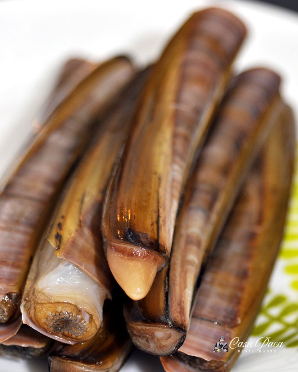 Listo para disfrutar del fin de semana!?

Navajas, Gamba roja de Palamós, Langostinos de Sanlúcar, Almeja fina de Carril, Carabineros, Percebes, Ostras... Disfruta lo mejor del mar en pleno centro de Salamanca!! 😉

☎ 923 218 993 
#CasaPaca #GastroPlaceres #Salamanca