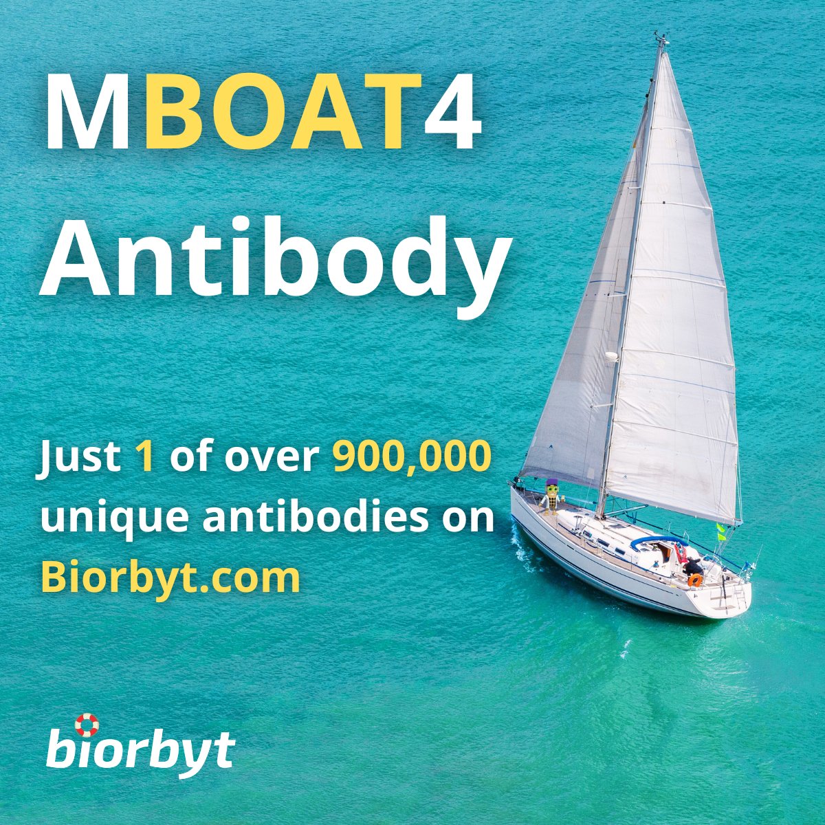 ⛵️⛵️⛵️⛵️⛵️

#research #laboratory #lifesciences #bioscience #antibodies