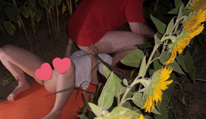 とあるひまわり畑での一枚。 こんな野外SEX興味ありますか？ 見たい人〜？🖐️❤️ #えロ垢  #エロ #エロ垢 #野外 #ハメ撮り https://t.co/YcM8w08hC9<a href="/tag/%E3%81%88%E3%83%AD%E5%9E%A2"class="tags">#えロ垢</a><a href="/tag/%E3%83%8F%E3%83%A1%E6%92%AE%E3%82%8A"class="tags"><span>#ハメ撮り</span></a><a href="/tag/%E3%82%A8%E3%83%AD"class="tags"><span>#エロ</span></a><a href="/tag/%E9%87%8E%E5%A4%96"class="tags"><span>#野外</span></a><a href="/tag/%E3%82%A8%E3%83%AD%E5%9E%A2"class="tags"><span>#エロ垢</span></a>