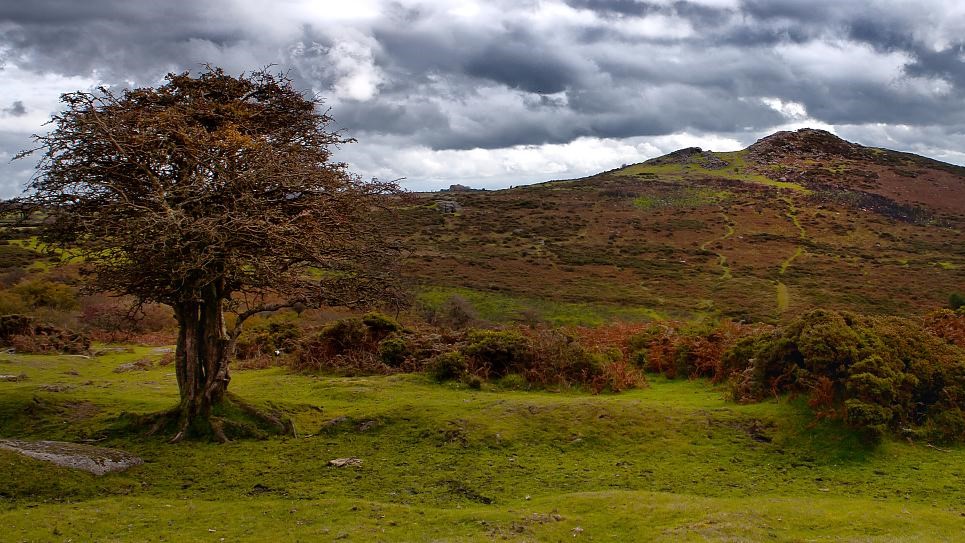 The Court of Appeal has ruled that there is a right to wild camp on #Dartmoor – welcome news for lovers of the outdoors. But why is camping encouraged as healthy 'open air recreation', and cycling penalised? We dig into the legislation to find out: ow.ly/R65s50PsAMA