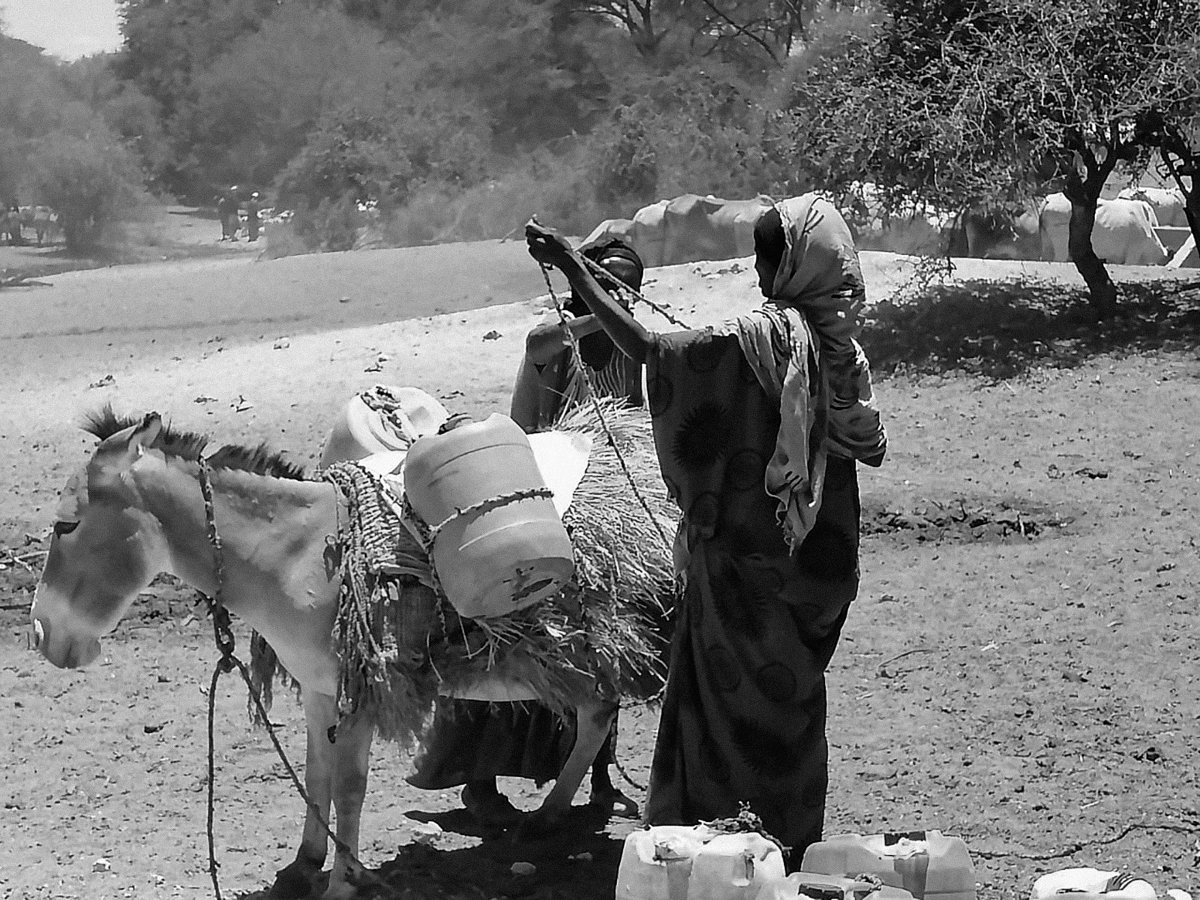PASTRES_erc's tweet photo. The chapter asks how pastoralists in Northern #Kenya, Isiolo, confront uncertainties through collective #solidarities and #redistribution in the form of #moral #economy practices? And how does this articulate with the standard development aid/humanitarian response? https://t.co/TLvuEmBIn9