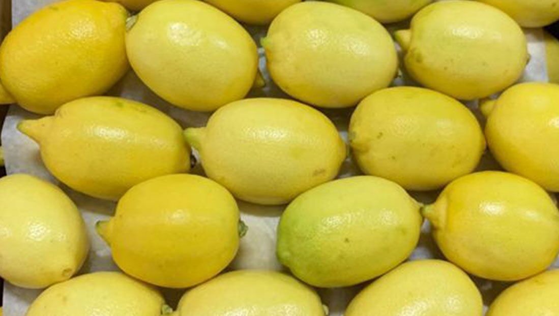 Avrupa Birliği Gıda Güvenliği Sistemi RASFF'ten yapılan uyarıya göre 31 Temmuz ve 1 Ağustos'ta Türkiye'den Bulgaristan'a ihraç edilen limonlarda izin verilenin 37 katına kadar pestisite rastlandı. Sınır kontrollerindeki tespit sonrası ürünler iade edildi. #NeYediğiniziBilin