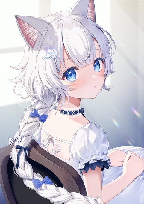 Cat Grooming
