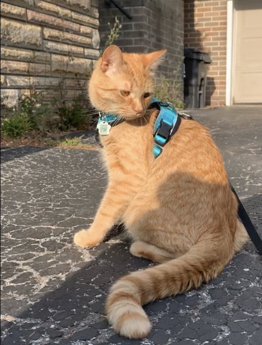 halimerr's tweet photo. sweetest boy https://t.co/CrtGCipOiH