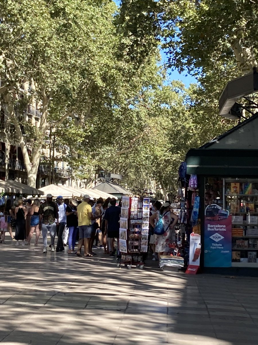 powell5469's tweet photo. Beautiful,Barcelona 🥰 https://t.co/ZRpghIF2Xs