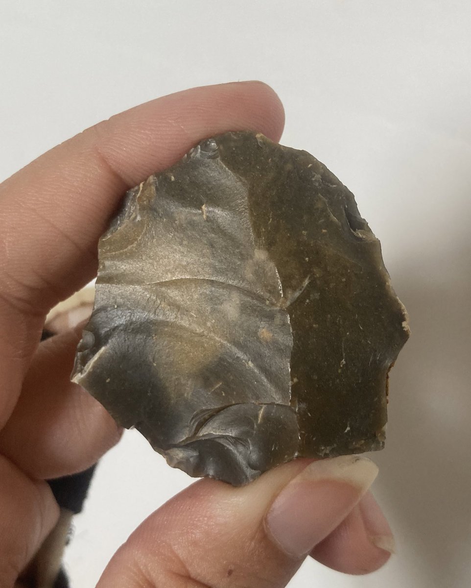 cy_lexx's tweet photo. It’s #flintfriday !
Tiny Levallois core from Corrèze ❤️ (SW France)
#MiddlePalaeolithic #Levallois https://t.co/3cKR6SHM0l