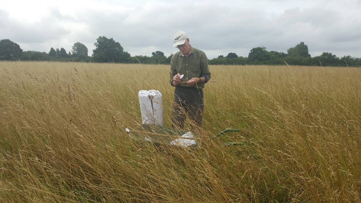 Long Lands Common tweet media