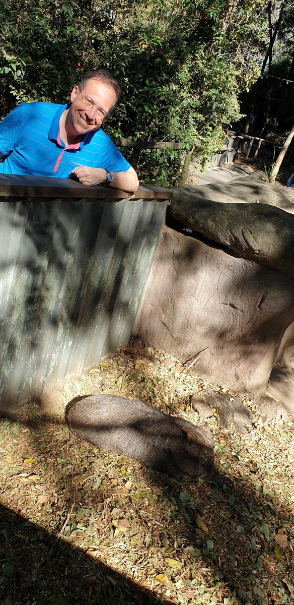 Alan Burchill tweet media