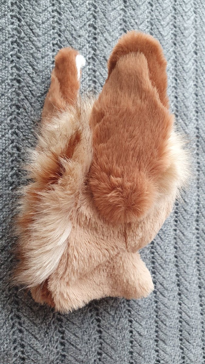 I added a bit of stuffing and temporarily attached the ears to get a better idea what this baby will look like once finished.