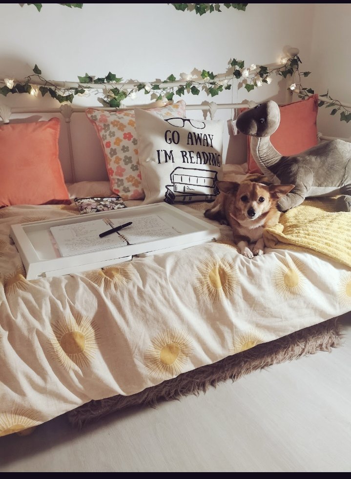 A day of editing today... maybe Mimi dog will help? 
Doubtful,  very Doubtful 😅
#WritingCommunity