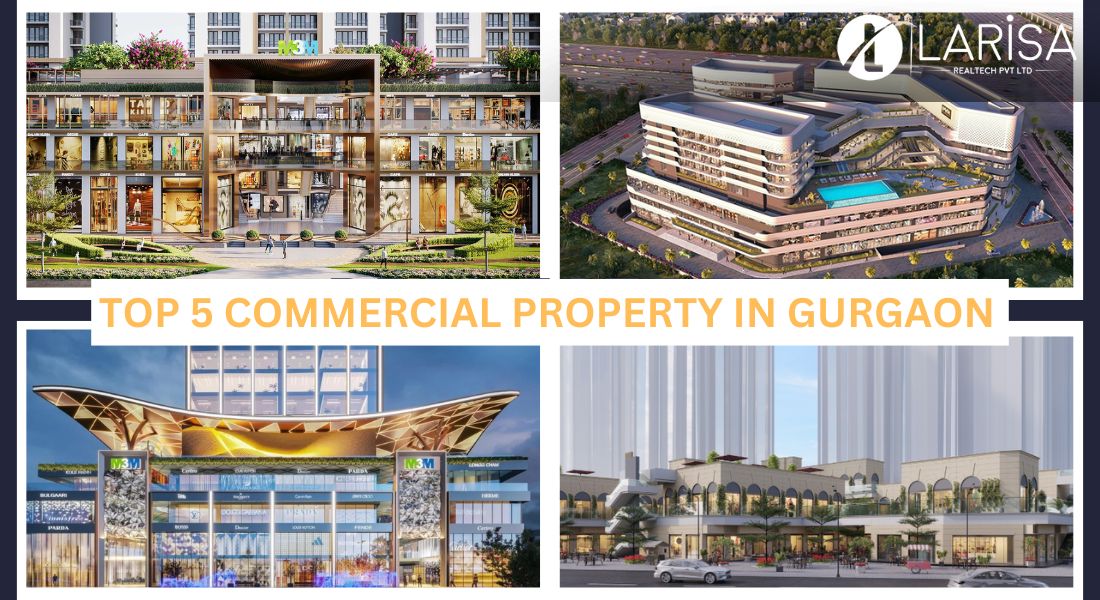 LarisaRealtech's tweet photo. Top 5 Commercial Property in #gurgaon 2023. Read this article completely before investing your money.
https://t.co/Yj1w4Nc3vx
:
#commecial #realestate #investing #RahulGandhi #SupremeCourtofIndia #ElvishYadav https://t.co/NJgzkxjKq6
