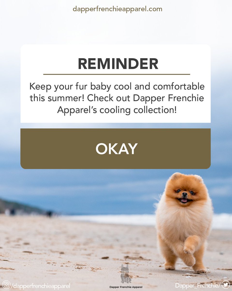 🌞🐾 Don't let the heat get to your furry friend! 🌊❄️ Explore our fantastic cooling collection at #DapperFrenchieApparel and ensure your pet stays cool and comfy all summer long! 😎🐶

Explore our website for cool pet gear this summer! 🌞🐾

👉dapperfrenchieapparel.com