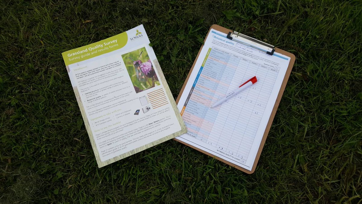 Long Lands Common tweet media