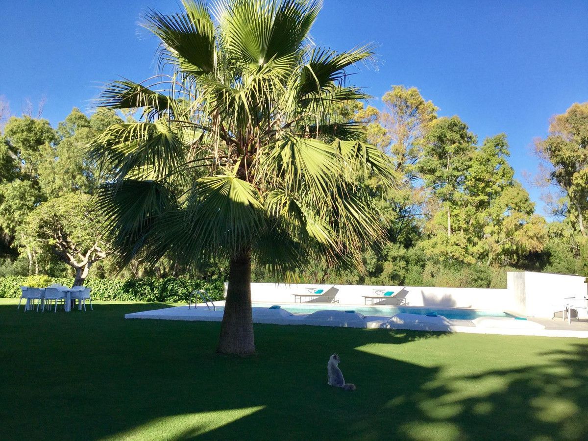 Citadelle Consulting tweet media