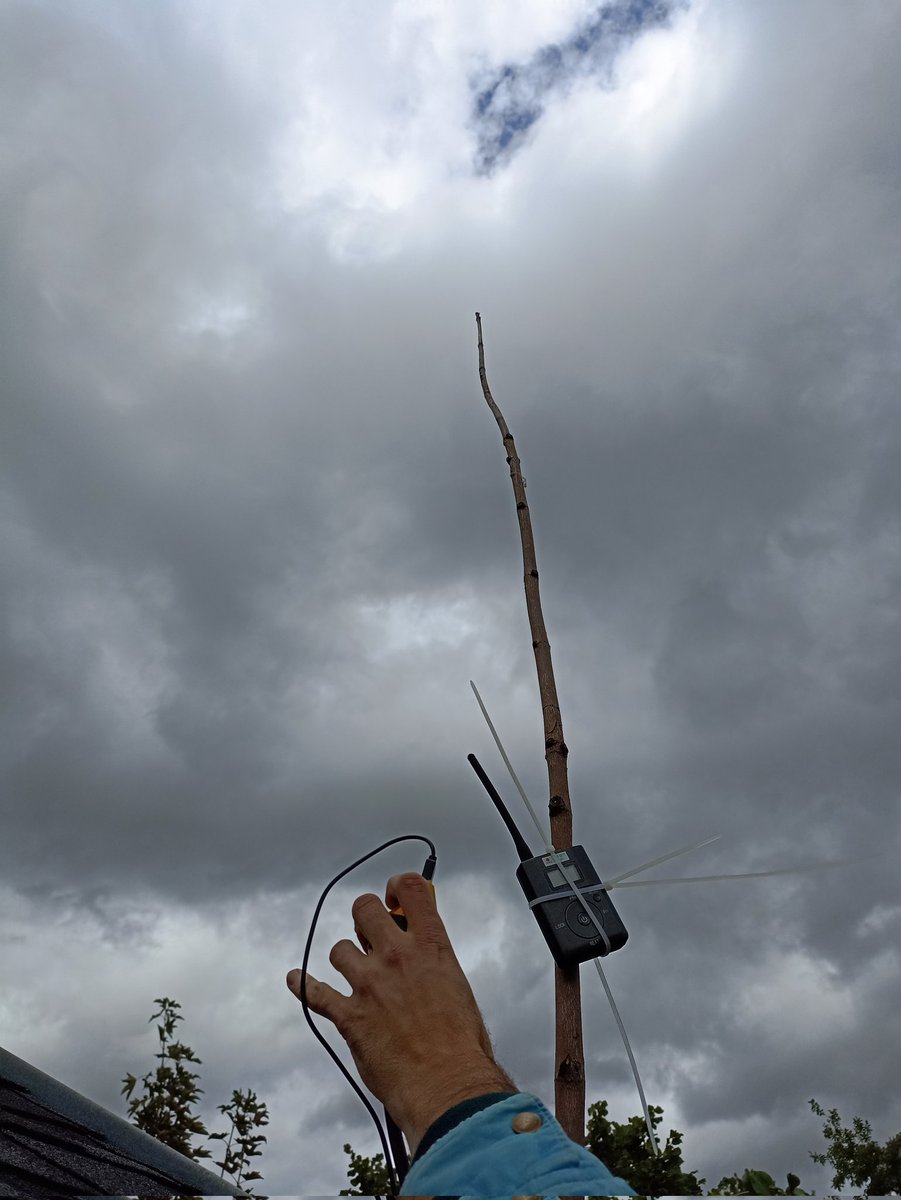 Listening to Arbors in Altenburg! Today we talk about "headlights and ears". We meet the Förster Mr. paritzsch in the Leinawald, visit with Sonya Schönberger an attotment colony in Dresden and speak with Viktoria Scholz in the historischer Laubengarten. Starts at 2 PM!