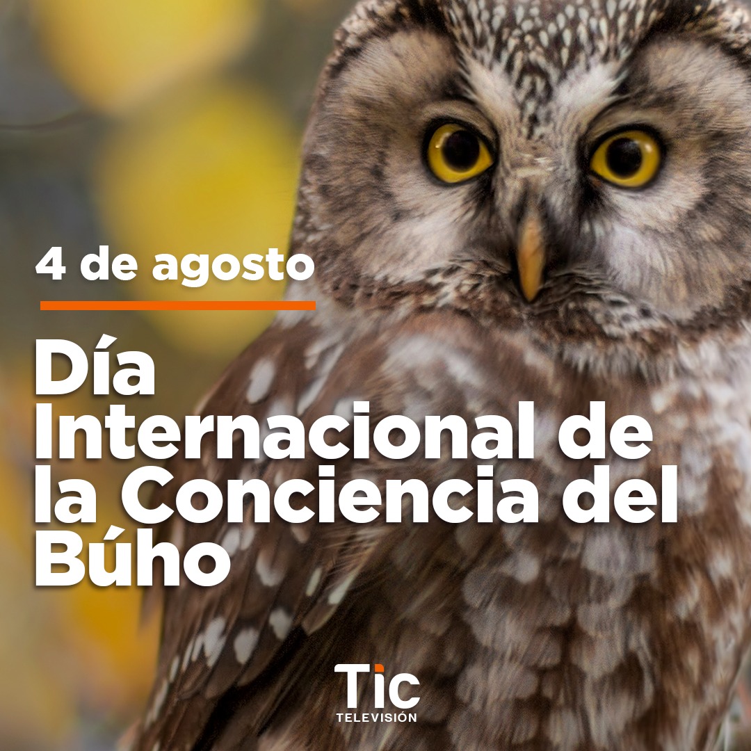 Valladolid Pro Animal (@valladolid_pro) on Twitter photo 