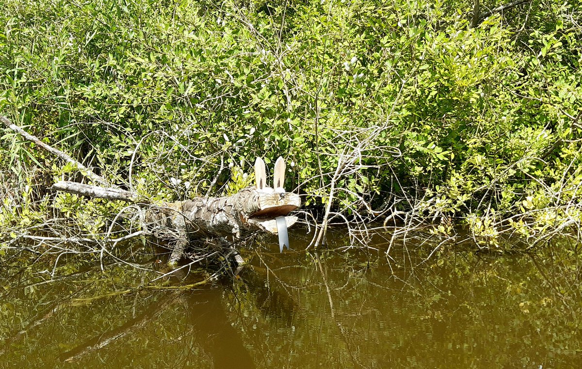 Ziet jouw kind ook steeds monsters en kan daardoor slecht (in)slapen?
Samen kunnen we een oplossing daarvoor vinden. #MNRI #slapen #ontspanning