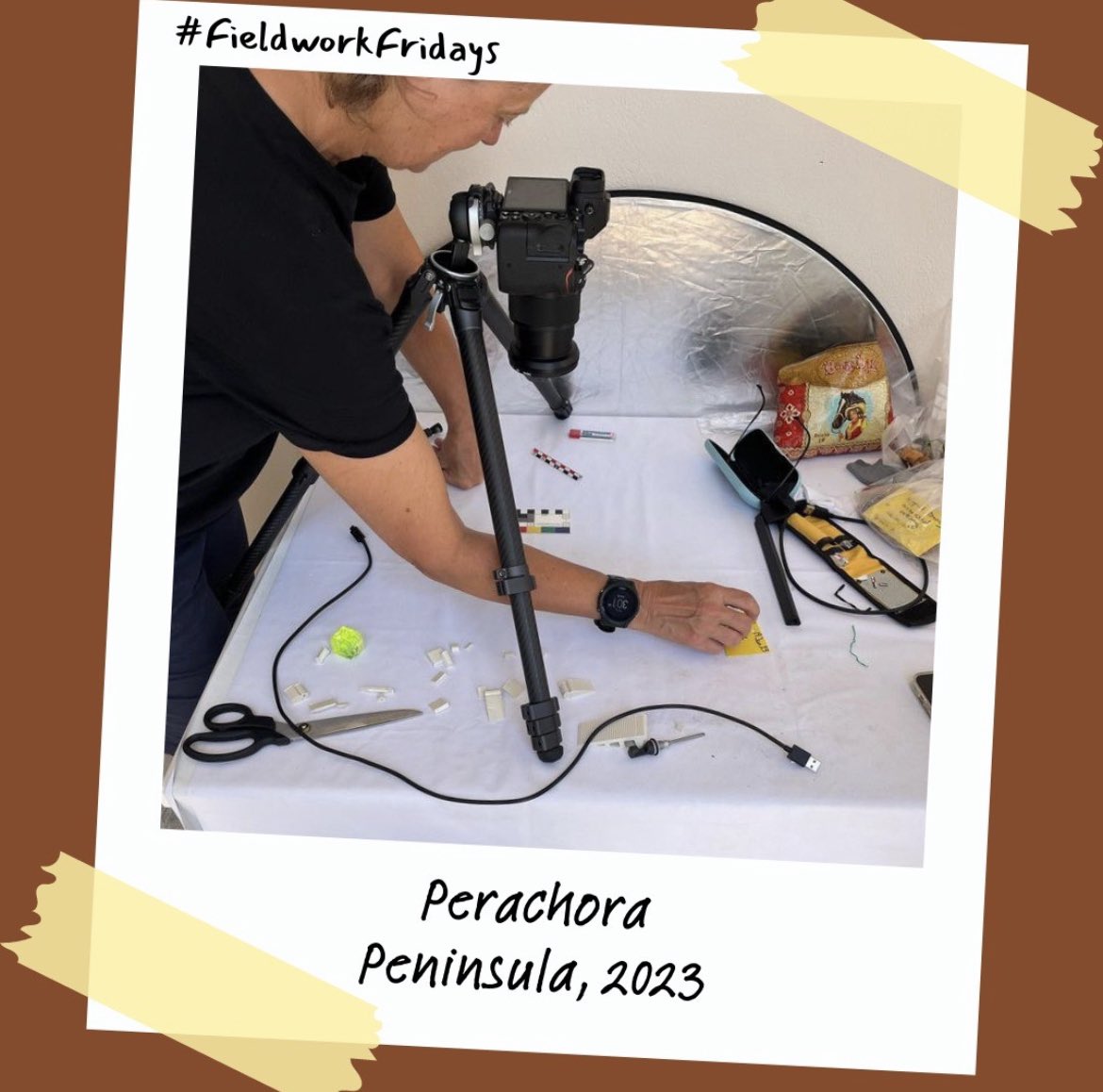 Archaeology_MQ's tweet photo. For this week on #FieldworkFridays we have some awesome pics sent our way from Tom who participated in the Perachora Peninsula Archaeological Project 2023 with our very own @SusanLupack! https://t.co/svBLiabu6o