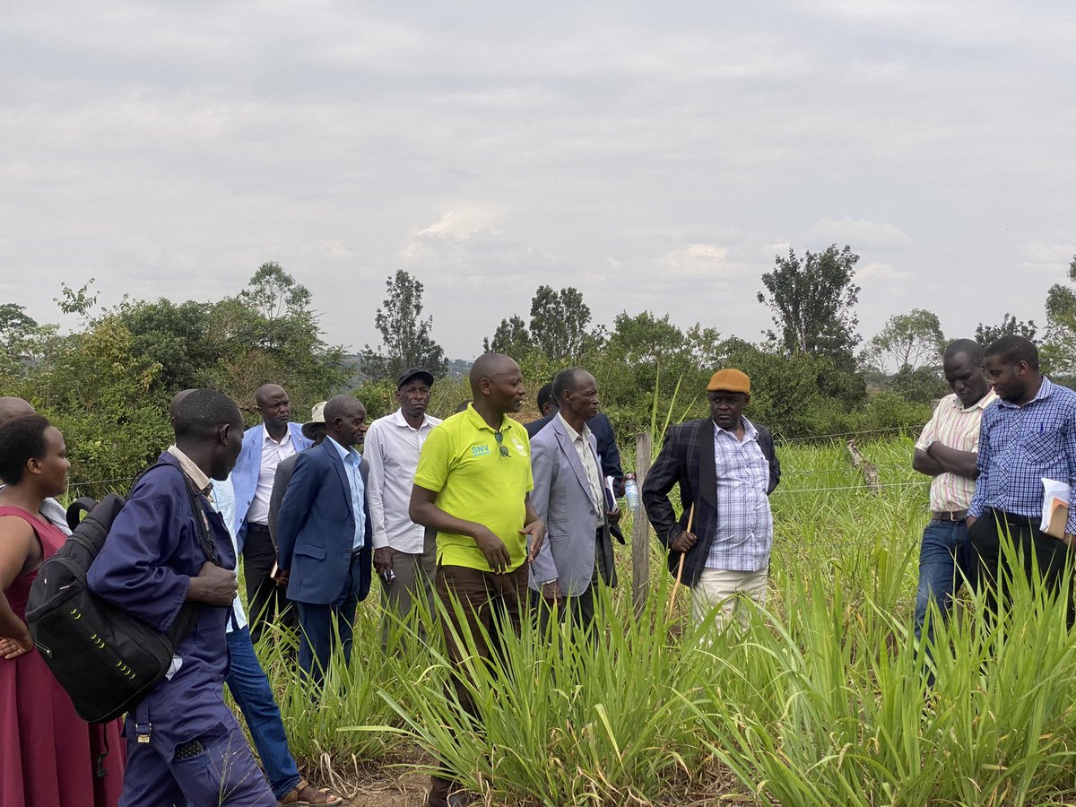 KazoDLG's tweet photo. The district technical team led by deputy CAO &amp; the production department have pledged to support farmers with technical guidance to improve productivity of dairy farms in the district. https://t.co/VBMflFzHlD