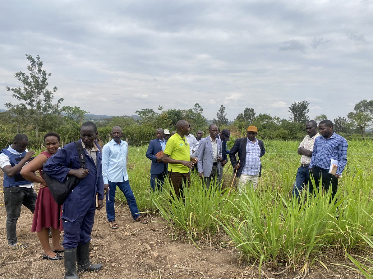 KazoDLG's tweet photo. The district technical team led by deputy CAO &amp; the production department have pledged to support farmers with technical guidance to improve productivity of dairy farms in the district. https://t.co/VBMflFzHlD