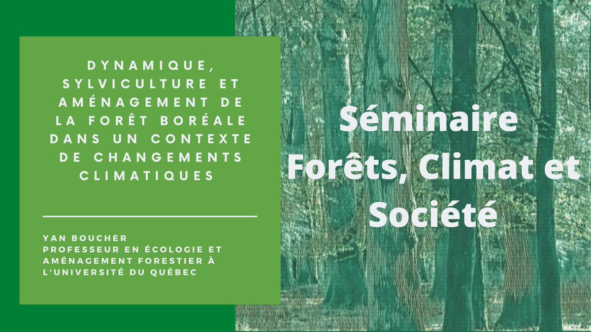 #replay séminaire Forêt climat et société retrouvez l'intervention de Yan Boucher, professeur en écologie et aménagement forestier à l'Université du Québec à Chicoutimi (CA) youtu.be/jwe0uyqqqx8 @APT_Nancy @INRAE_Nancy @Univ_Lorraine @labexARBRE @IGNFrance