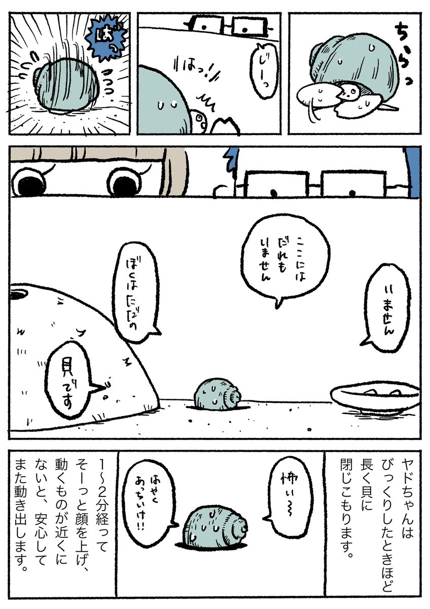 ヤドちゃんかわいいよヤドちゃん
#ぽんすけ再放送 