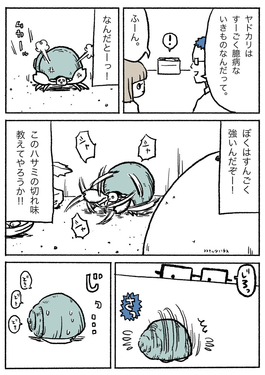 ヤドちゃんかわいいよヤドちゃん
#ぽんすけ再放送 