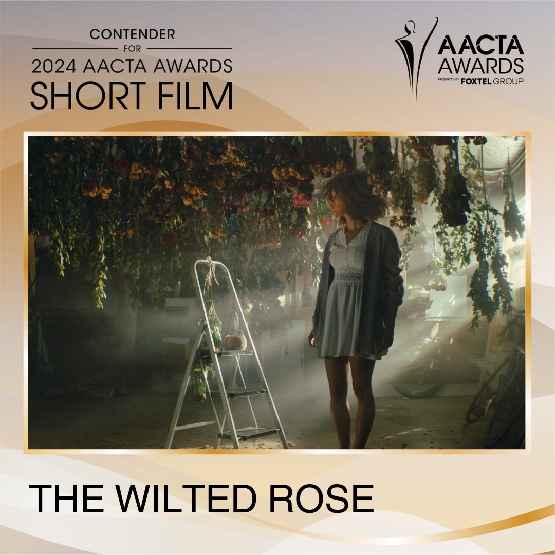 For your consideration … THE WILTED ROSE for <a href="/AACTA/">AACTA</a> Best Short Film 🏆

🗳️Voting is now open for AACTA Members!

🍿View &amp; Vote for THE WILTED ROSE … tv.aacta.org/film/the-wilte…

Thank you for your consideration 🥀

#AACTAS #ShortFilm #TheWiltedRoseFilm <a href="/centreforwomen_/">The Centre For Women & Co.</a>